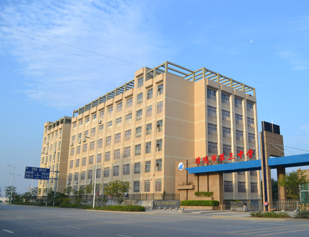  p>清远市第三中学成立于2013年8月,是 a href="#">清远市 /a>人民