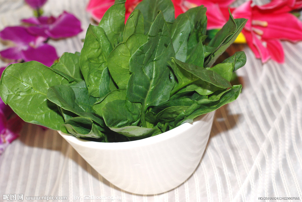 又名波斯菜,赤根菜,鹦鹉菜等,属藜科 a target="_blank" href="/item