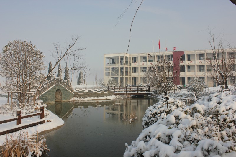 其前身为武桥农中,始建于1964年,1969改为武桥中学,设有初,高中部