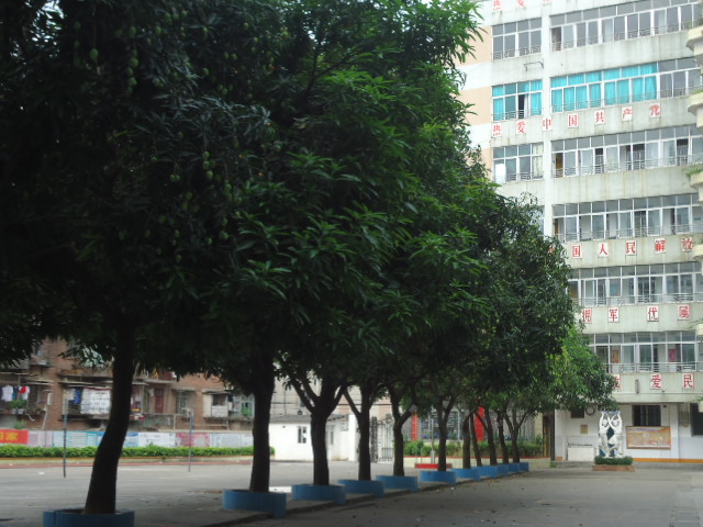 梧州市振兴小学