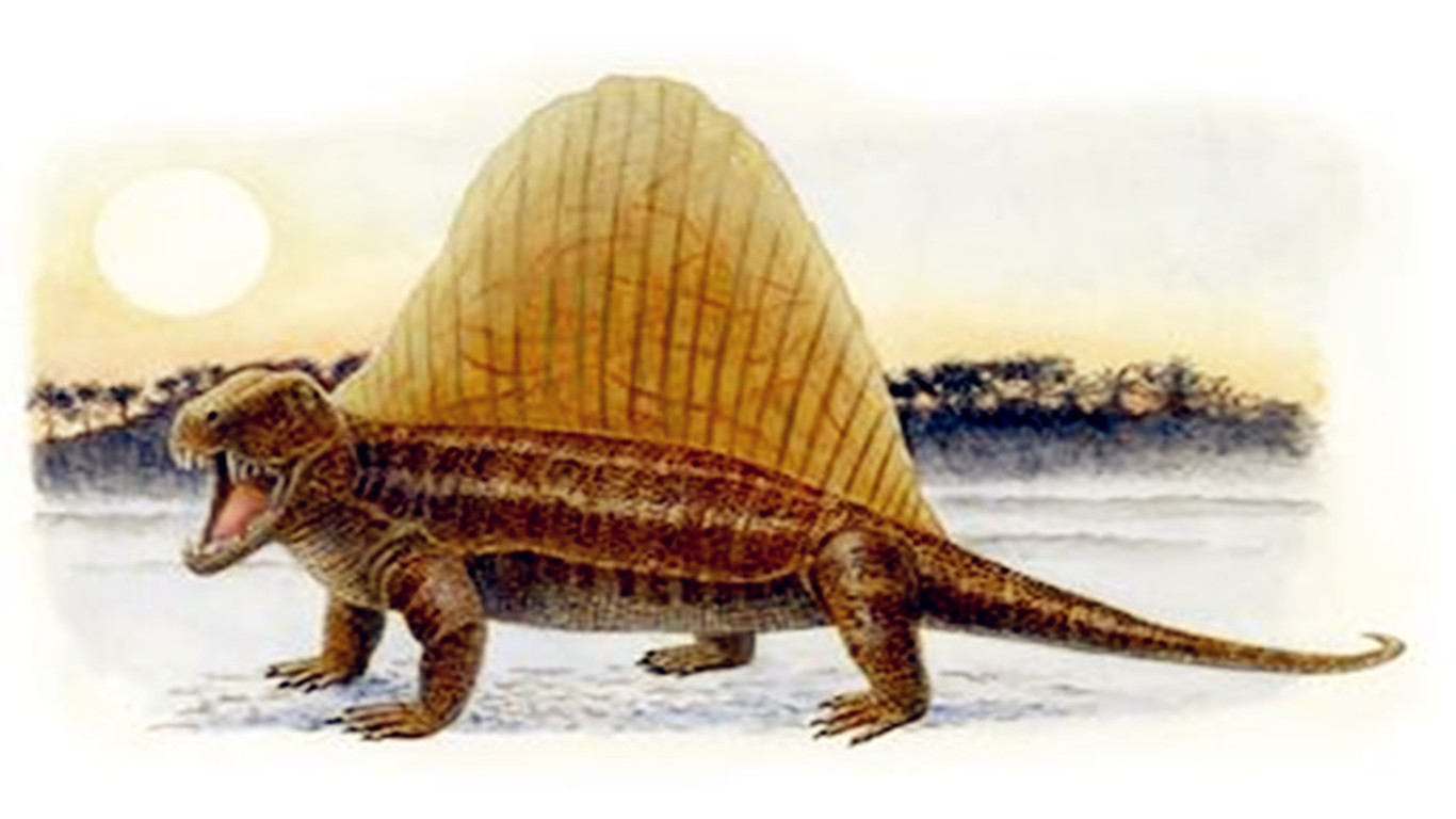 ">中生代 /a>早期的 a target="_blank" href="/item/哺乳动物/62197"