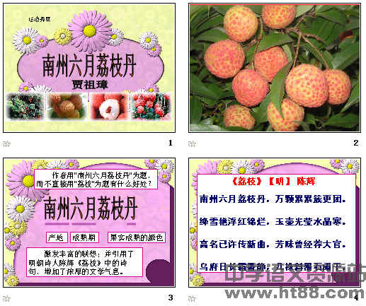 南州六月荔枝丹