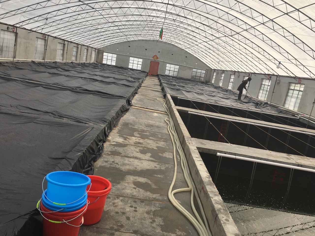 冬季大棚养殖南美白对虾管理办法