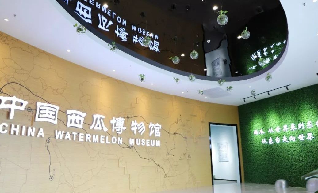  p>中国西瓜博物馆位于东台市,中国西瓜博物馆建筑面积8000平方米.