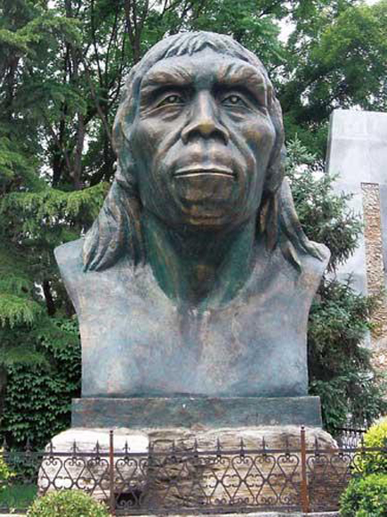 homo erectus lantianensis