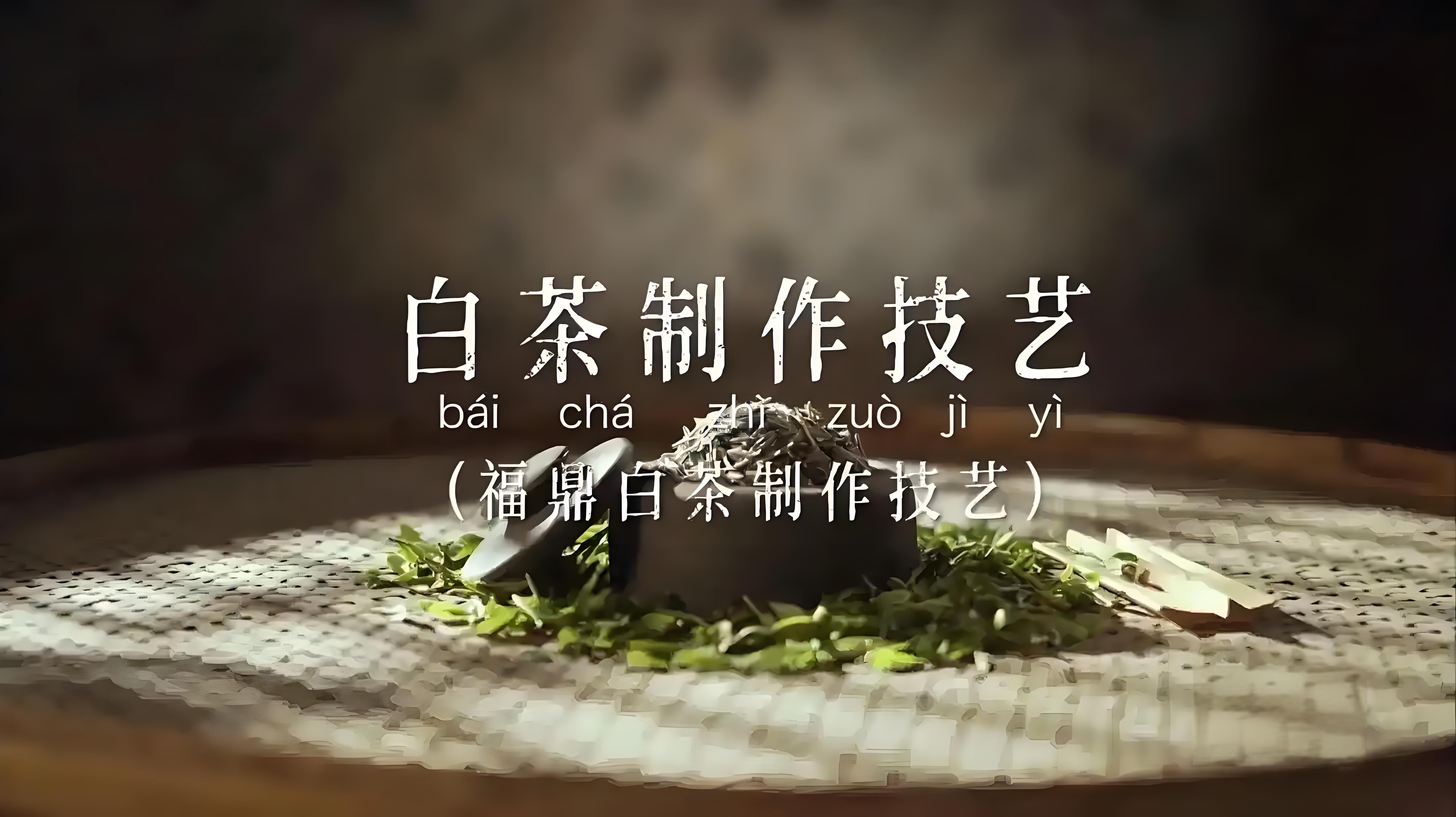 福鼎白茶厂家直销电话多少