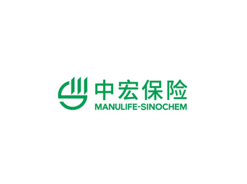 中宏人寿保险有限公司_百度百科