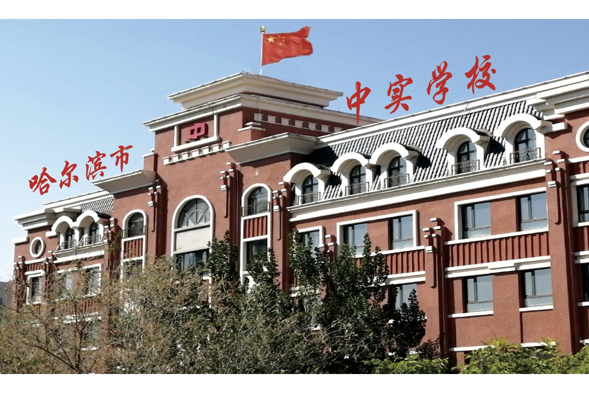  p data-id="gnbp9svuek">哈尔滨市中实学校是哈尔滨市的民办中学