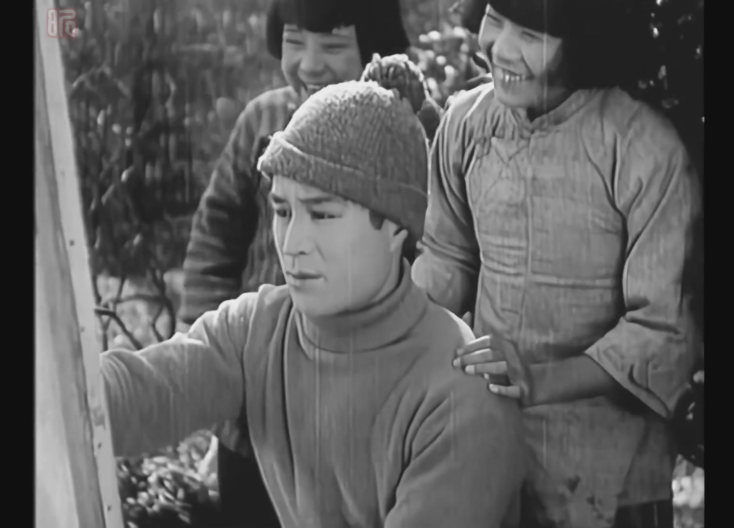 野玫瑰