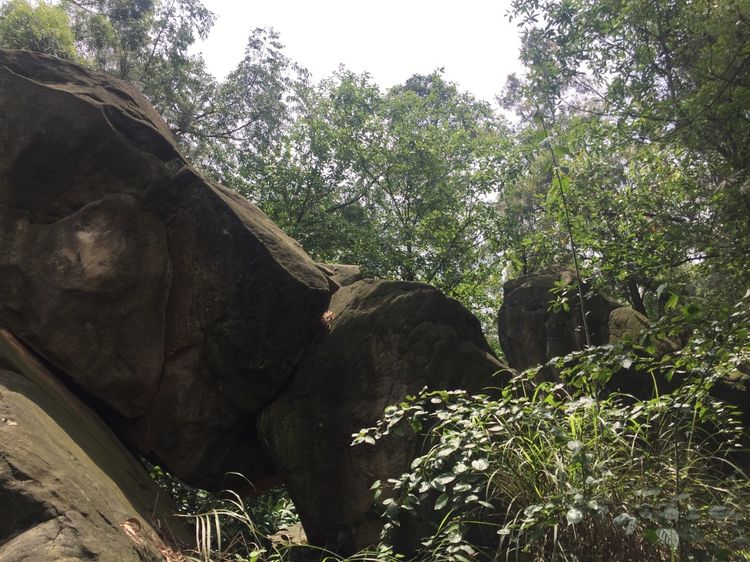  p>青木关镇,隶属于重庆市沙坪坝区,地处 a target="_blank" href="