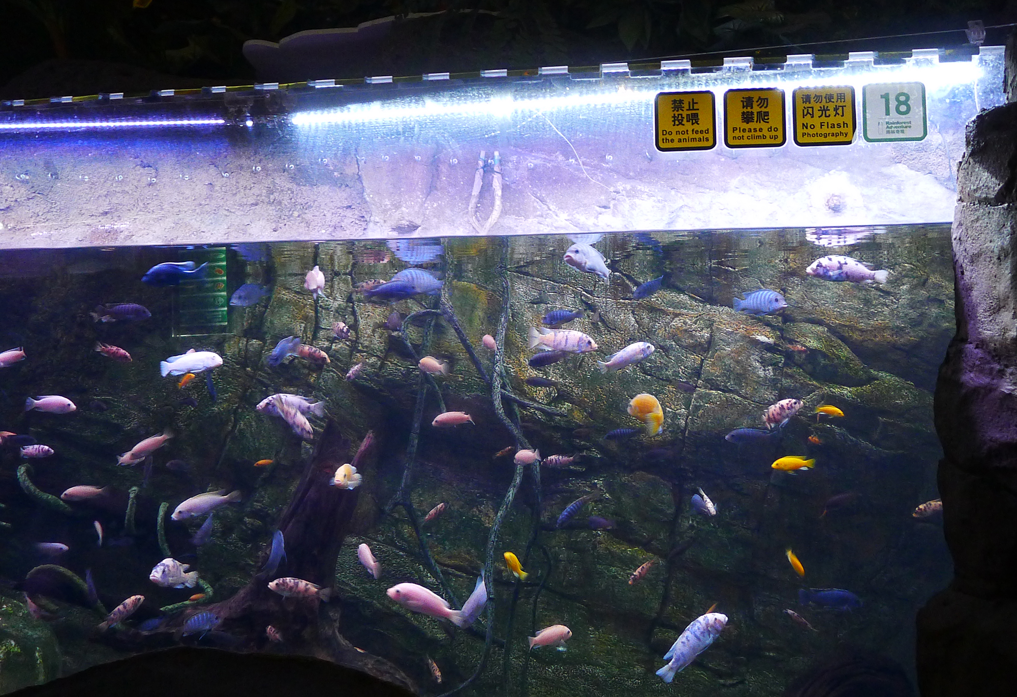  p>北京工体富国海底世界是 a href="#" data-lemmaid="1122445">中国