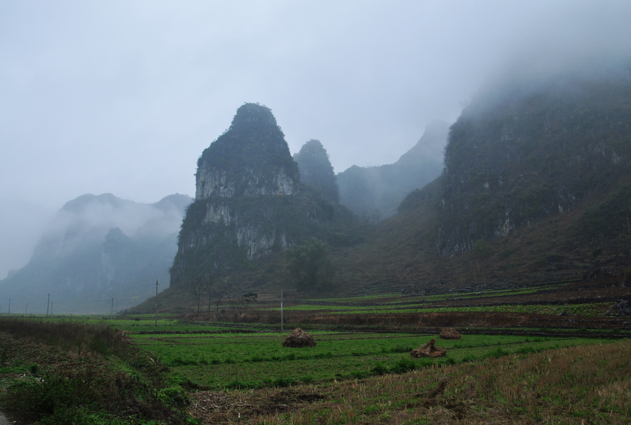 大塘镇,隶属于 a target="_blank" href="/item/广西壮族自治区