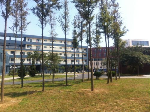 北京电影学院现代媒体创意学院