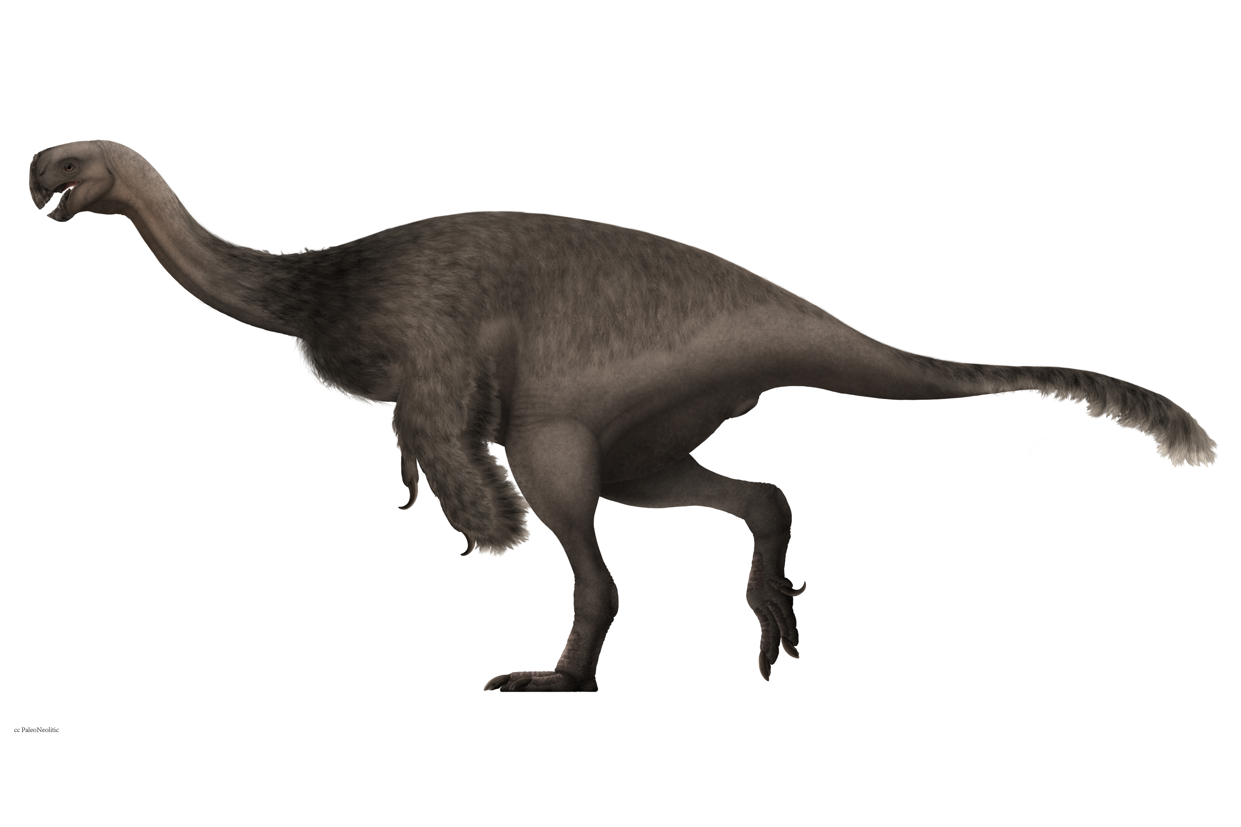  p data-id="gnbpyhfqhc">巨盗龙是发现于中国内蒙古二连浩特的大型兽