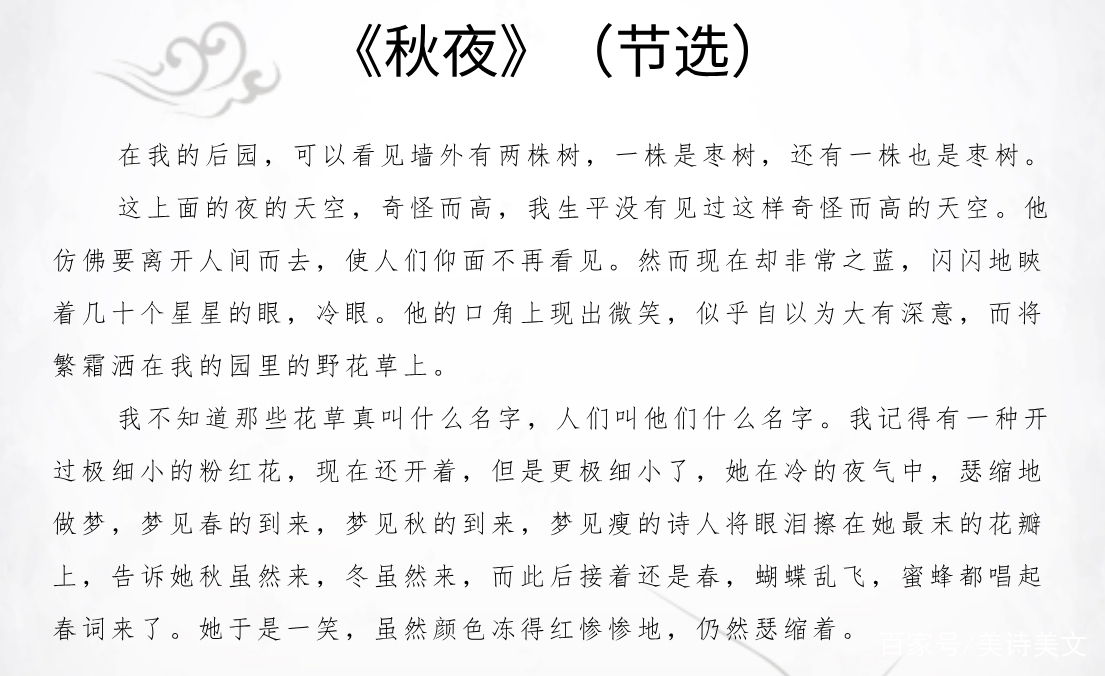 小伙因废话体诗走红，网友表示：这也算诗？蒋方舟：你们没看懂_百科TA说