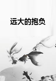 远大的抱负
