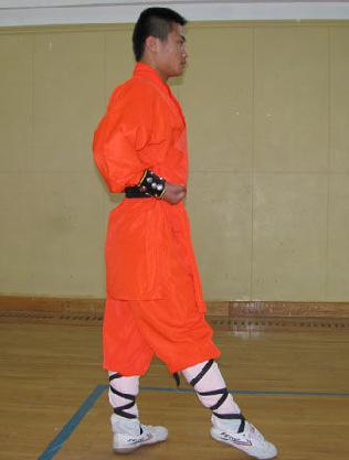 关于其起源有三种说法,一种说法洪拳是清代南方民间秘密结社三合会( a