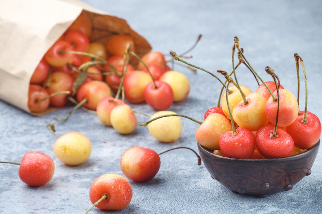 data-id="go1bxq2dfo"> a target="_blank" href="/item/白车厘子品种