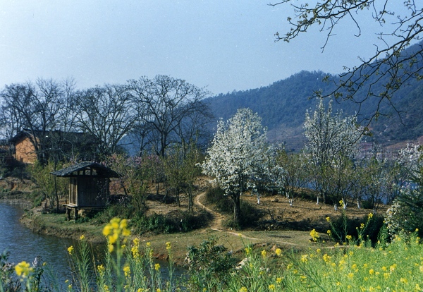  p>七都镇,隶属于安徽省池州市石台县,地处 a target="_blank" href="