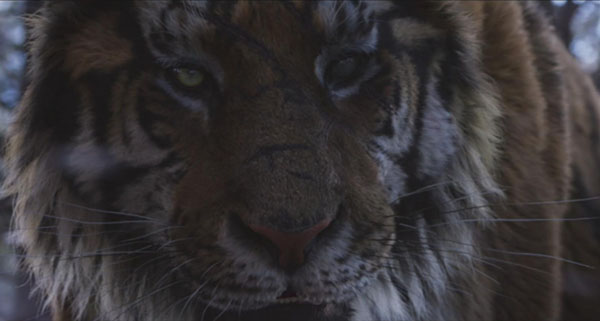  p>智异山山君,是韩国电影《 a target="_blank" href="/item/大虎