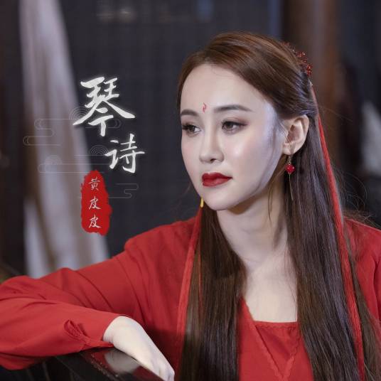 琴诗（黄皮皮演唱歌曲）_百度百科