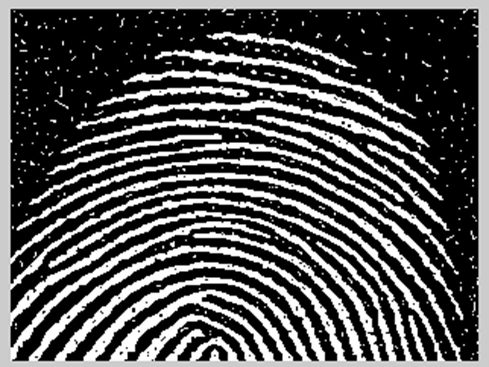 是指将图像上的每一个像素只有两种可能的取值或灰度等级状态,人们