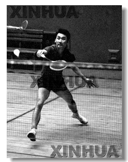 g0ka">陈玉娘,1946年出生于印度尼西亚梭罗市,前中国女子羽毛球运动员