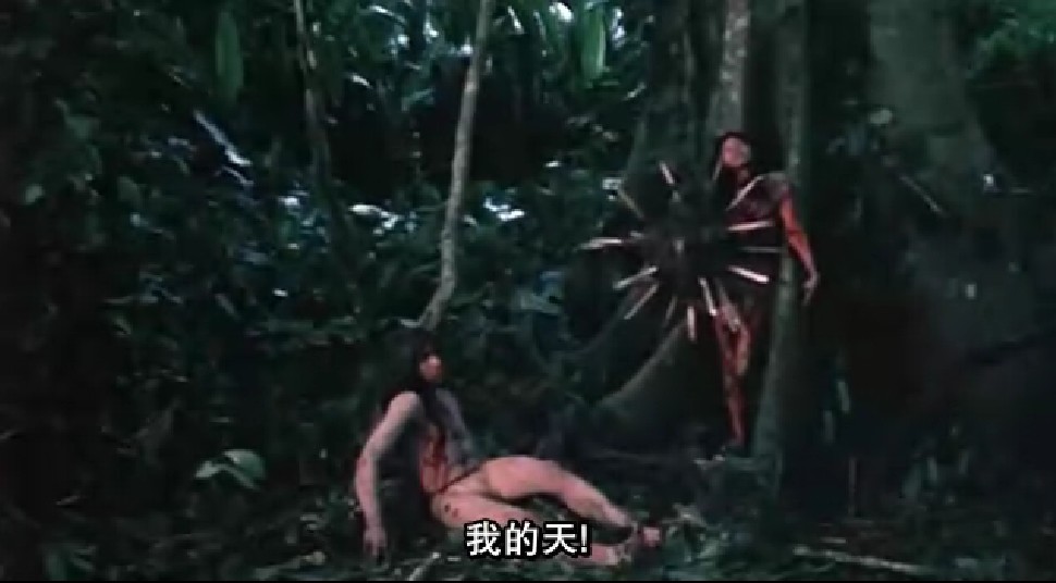 卢切尼等主演的恐怖片.该片讲述了关于亚马逊的食人族的故事. /p>