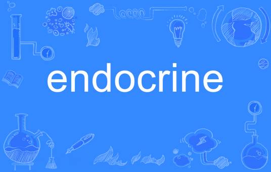 endocrine_百度百科