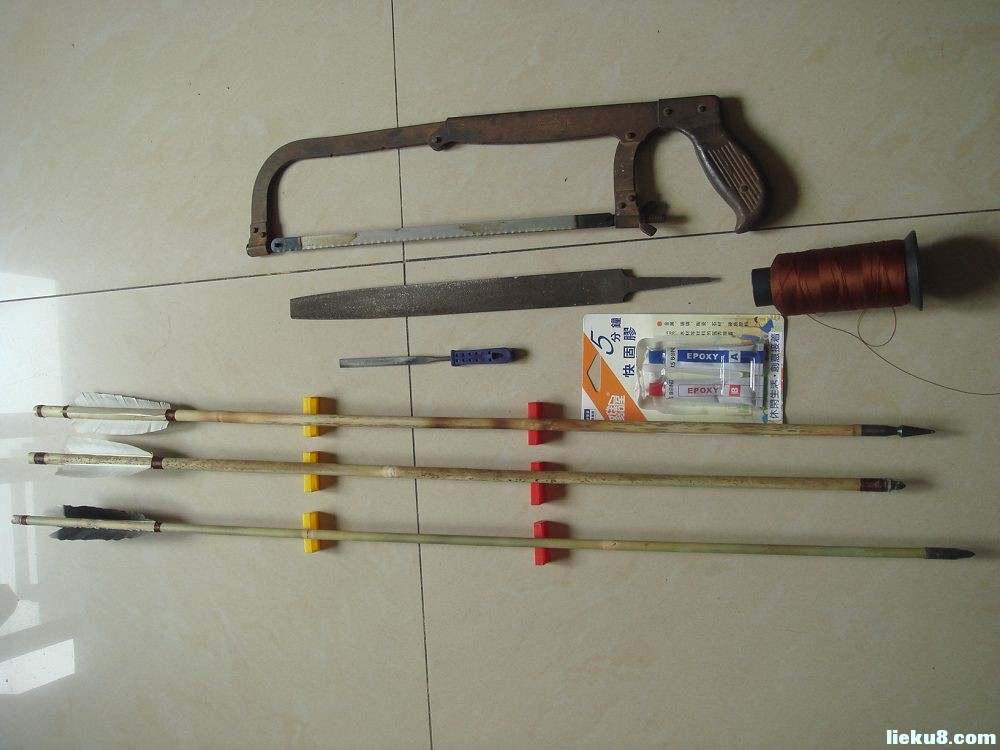 是禾本科,箭竹属竹类植物.