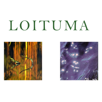  p>《 a href="#">ievan polkka /a>》(中文译名《甩葱歌》)是一首