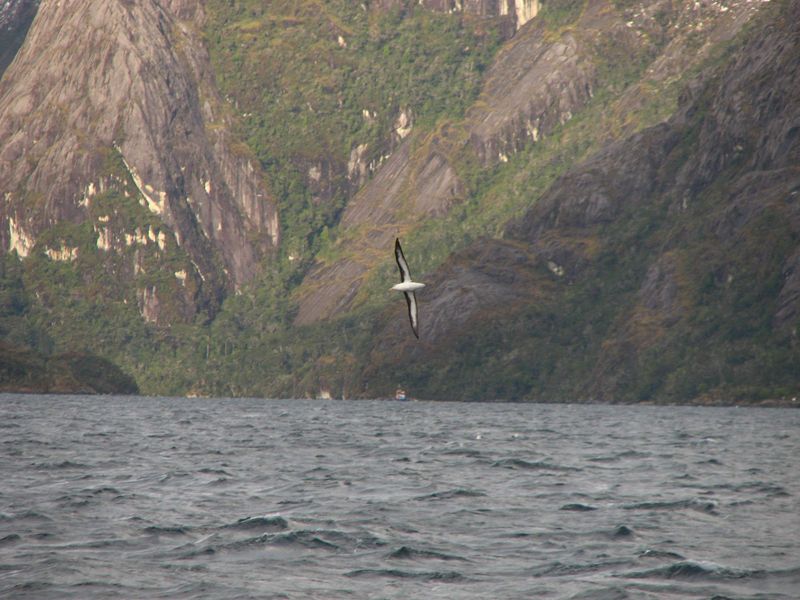 of magellan)位于 a href="#" data-lemmaid="138913">南美洲 /a>大陆