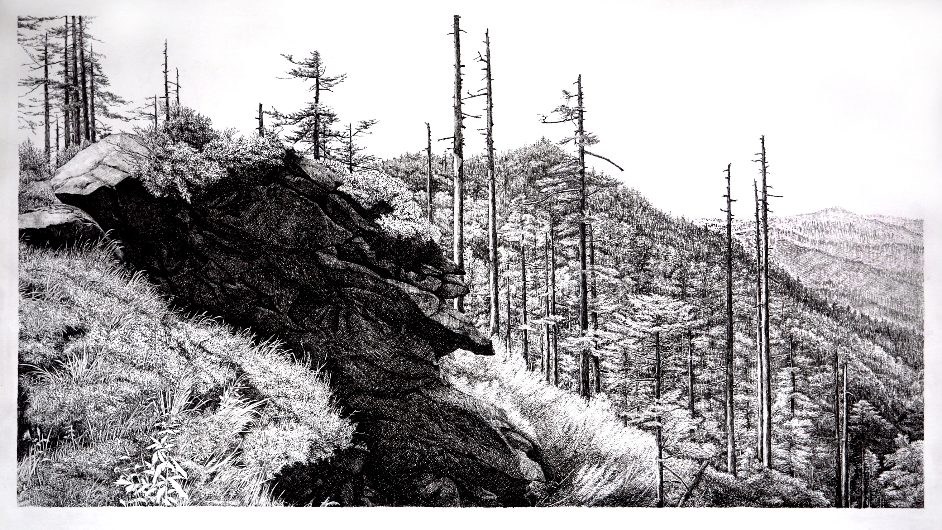 《想念春天》是观画而作,每篇文章都是作者对著名钢笔画家张军朝画作