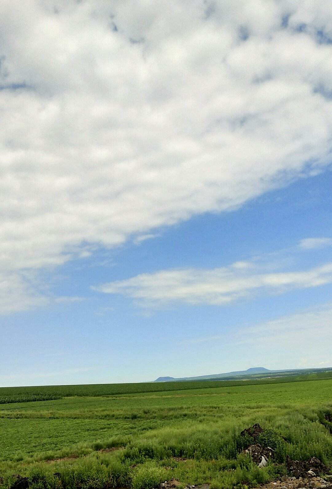 五大连池市西南部,东与 a href="#" data-lemmaid="10054584">沾河