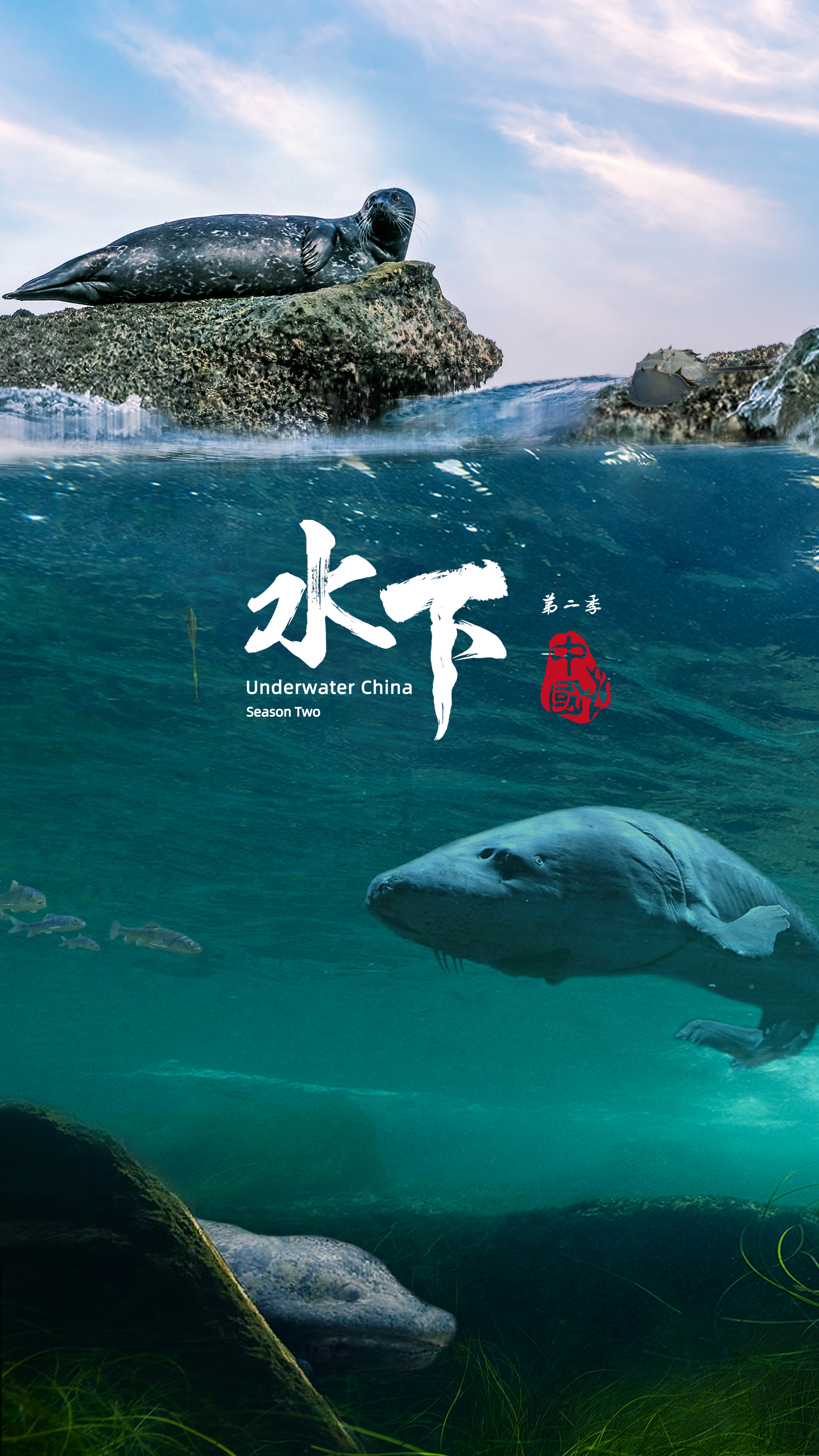 水下中国第二季》是由总导演周芳带领团队拍摄的一部纯自然生态纪录片