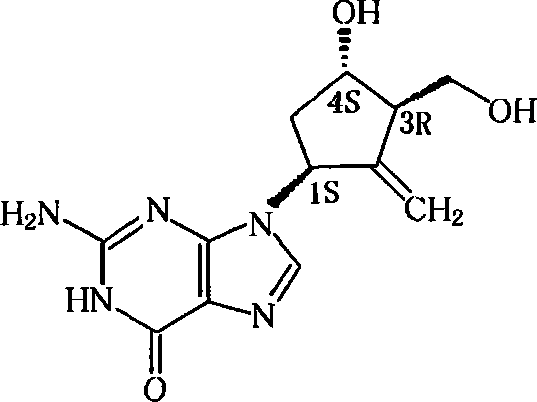 一种恩替卡韦的固体分散体,其药物组合物及其制备方法和药物应用