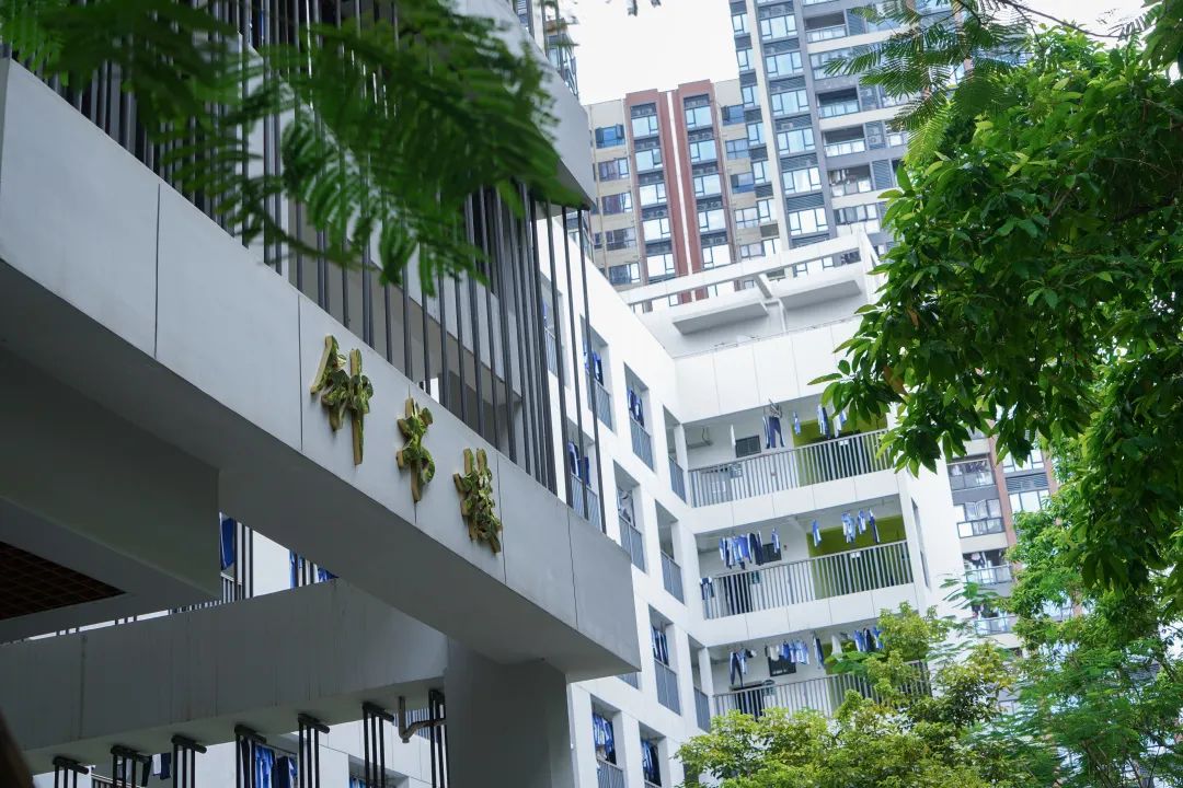 光明区高级中学