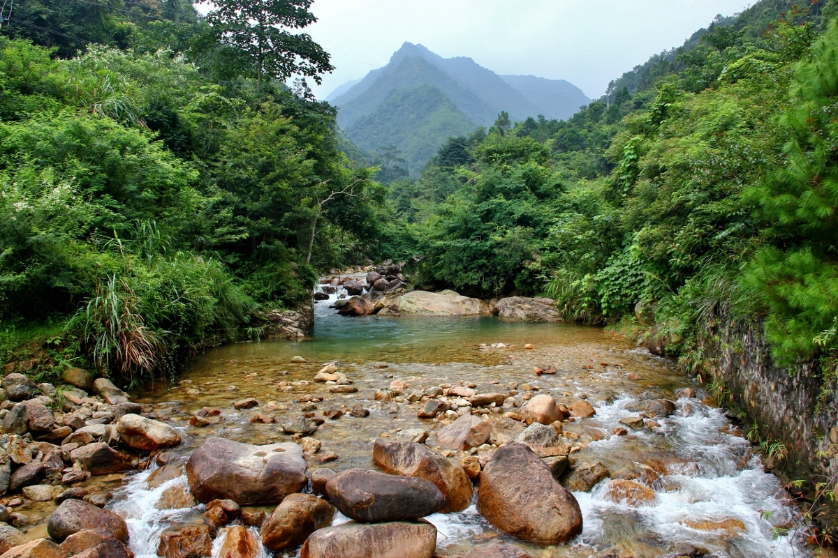 广东五华七目嶂省级自然保护区