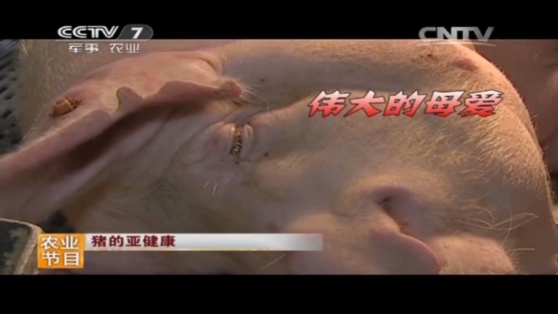 电视节目
