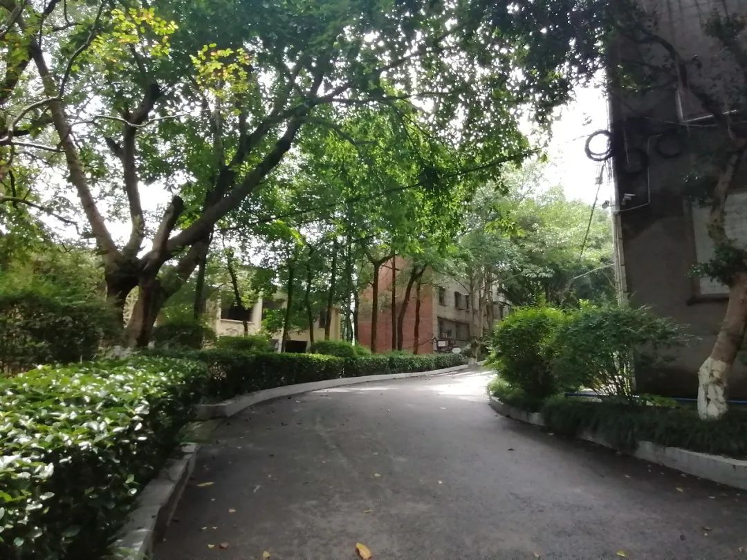 重庆市永川双石中学