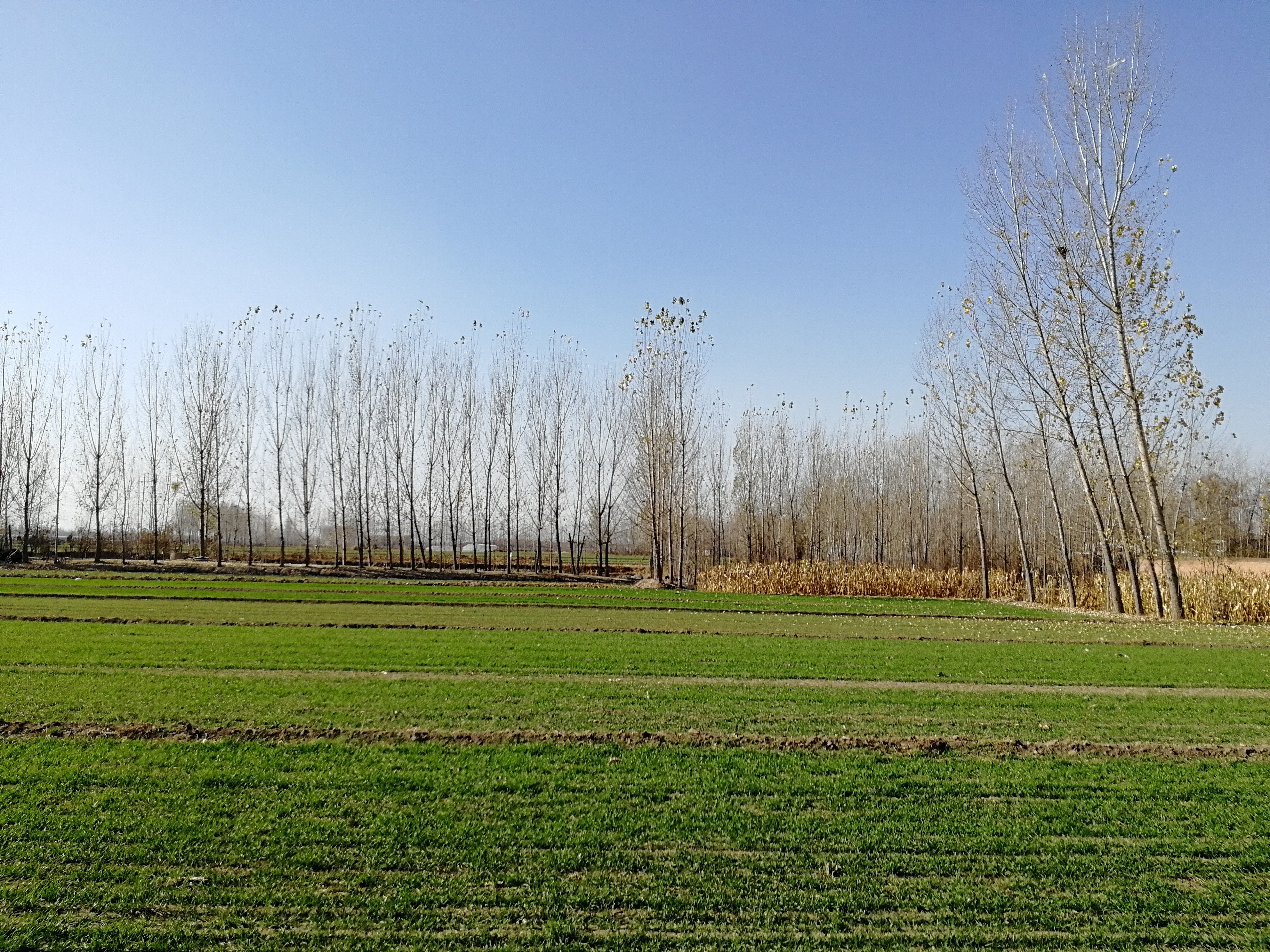  p data-id="gns0kvkoo8">田野,汉语词语,读音:tián yě,意思指田地
