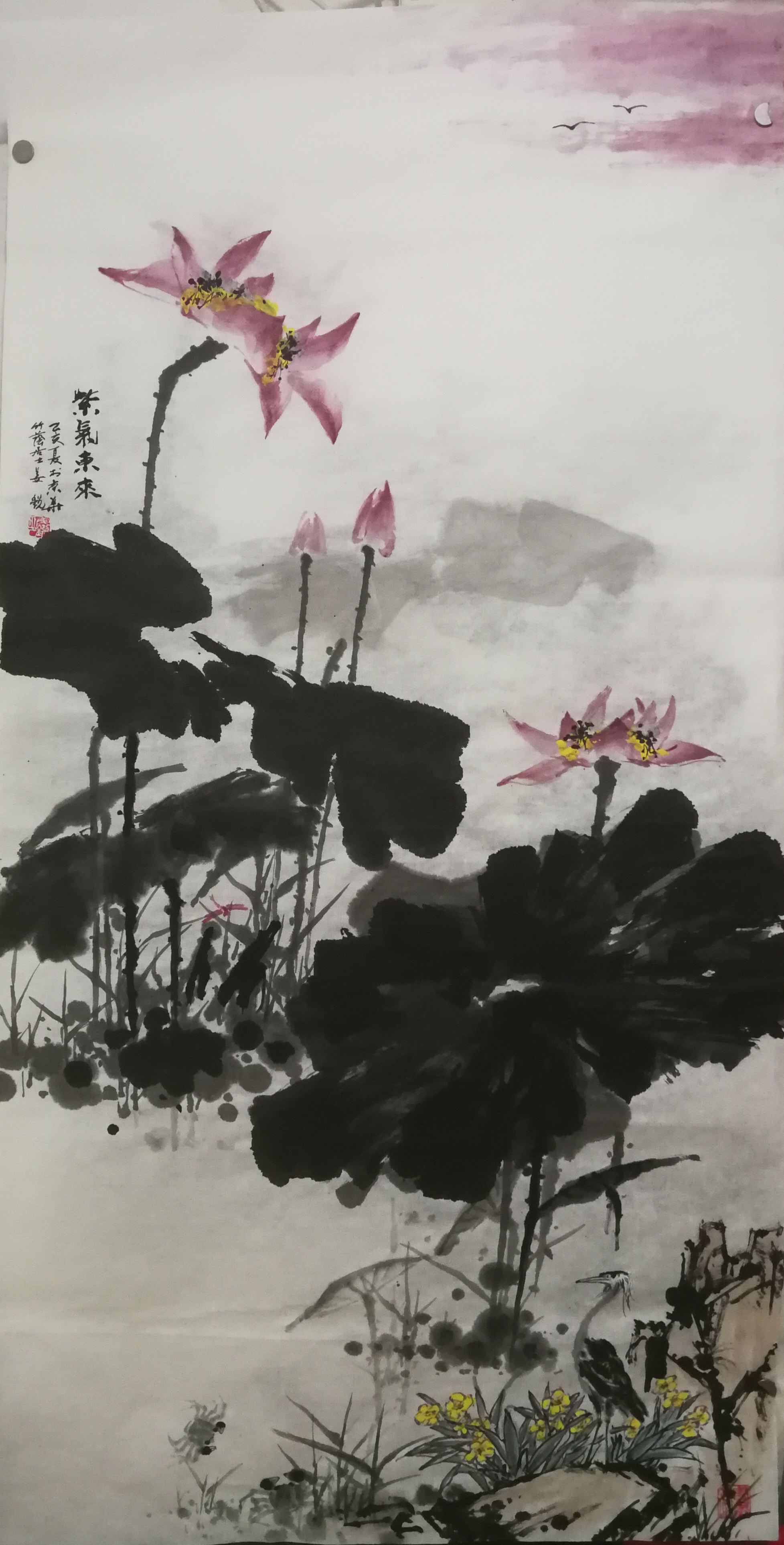 姜锐