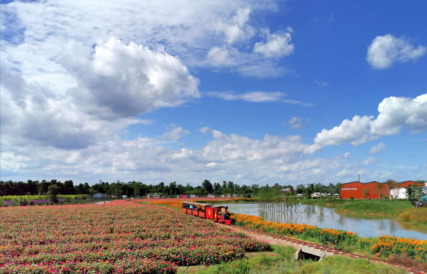 ko3mr">蔚然花海是 a target="_blank" href="/item/成都市/5020801"