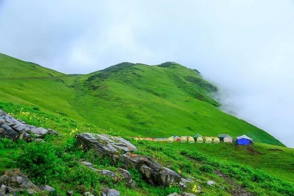 生态旅游区是文化旅游类项目,单位是绵竹旅游局,地点在绵竹九顶山