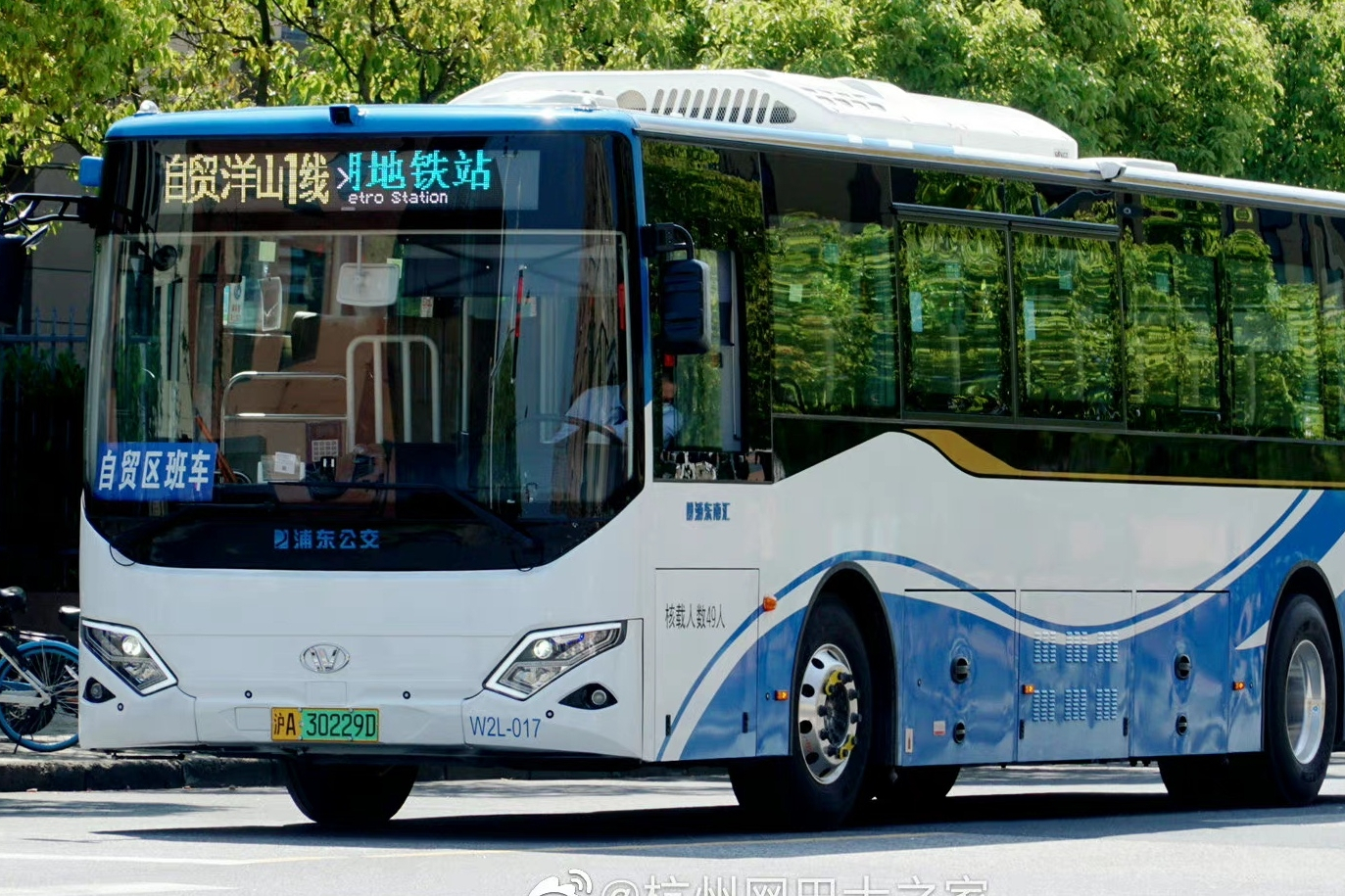 上海公交自贸试验区洋山1线