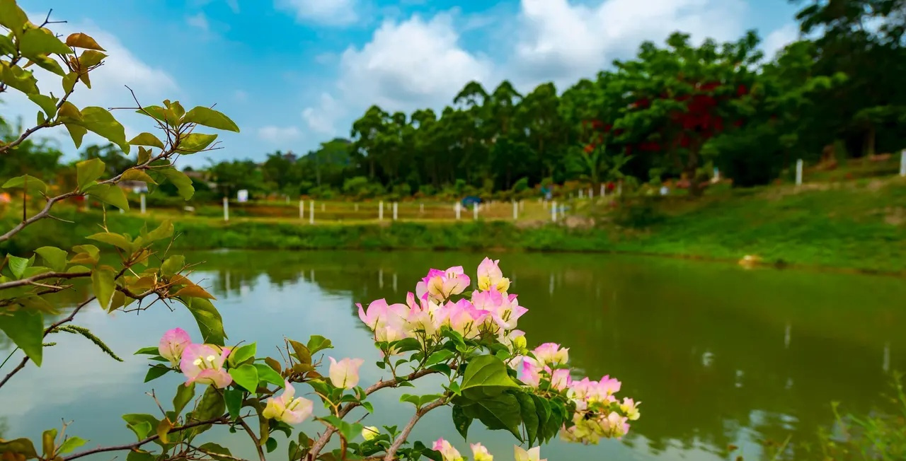  p data-id="sawrjgda2kyk">香草田园,坐落于海南省定安县龙湖镇,与