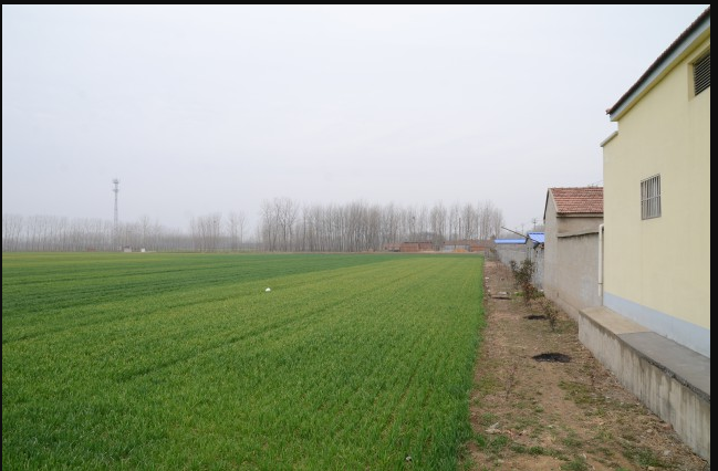  p>城头大河东文化遗址位于连云港市赣榆区城头镇大河东村北,紧依村庄