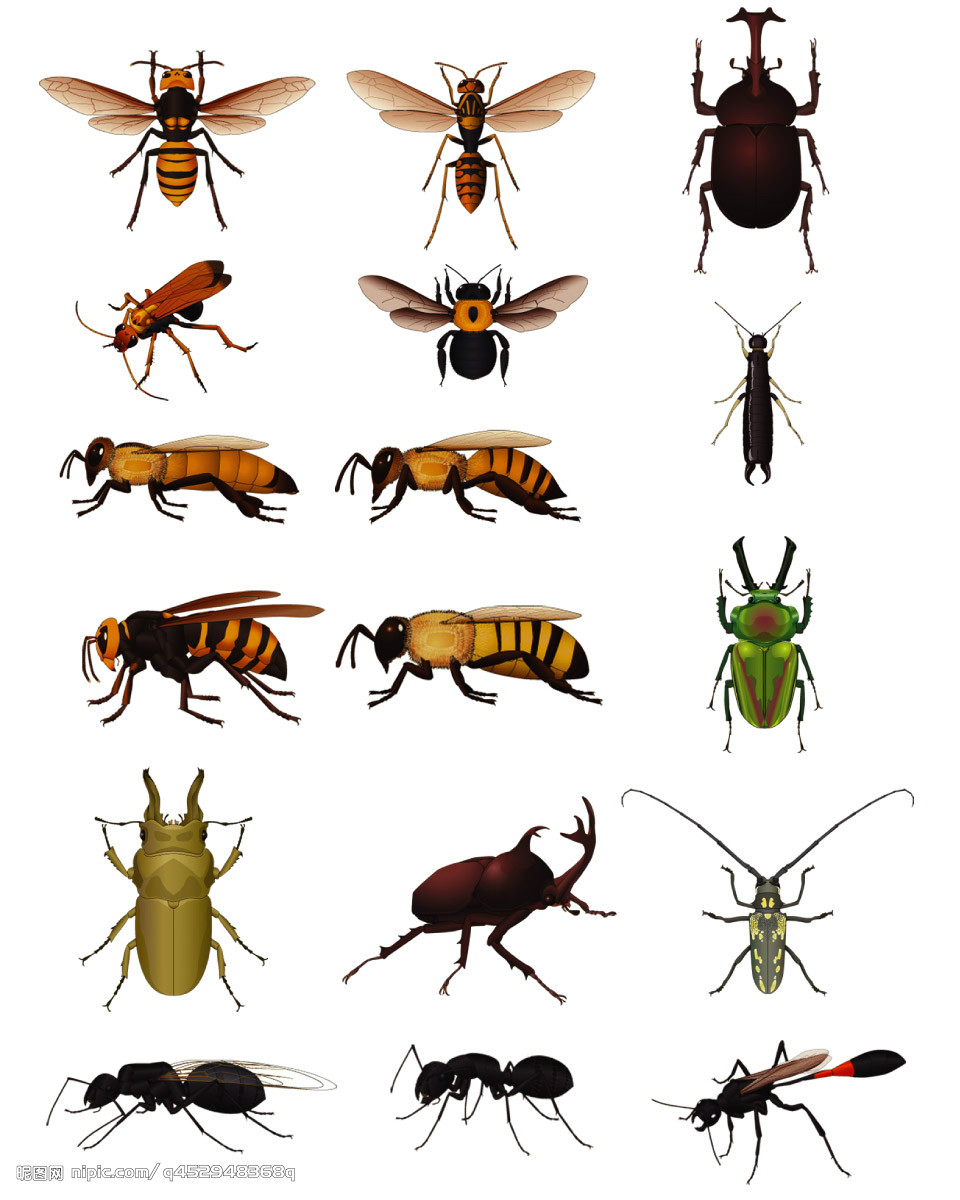 2t">六足亚门是 a target="_blank" href="/item/节肢动物门/1622398"