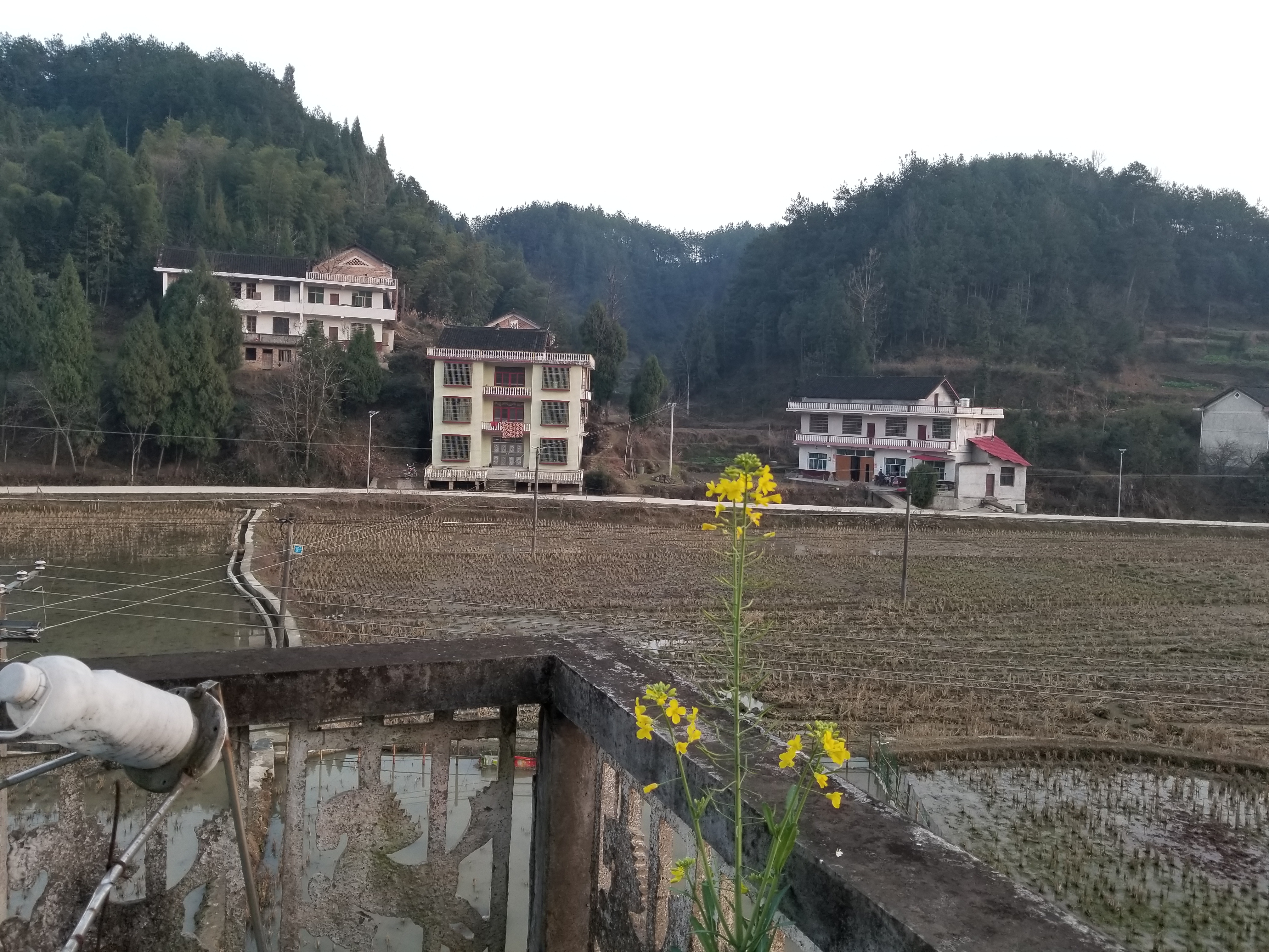 p>大熊村,座落于湖南省,娄底市,新化县,白溪镇,横岩乡/p>