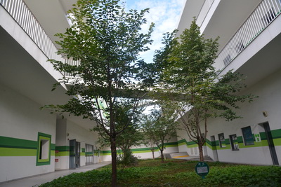 上海桃李园实验学校